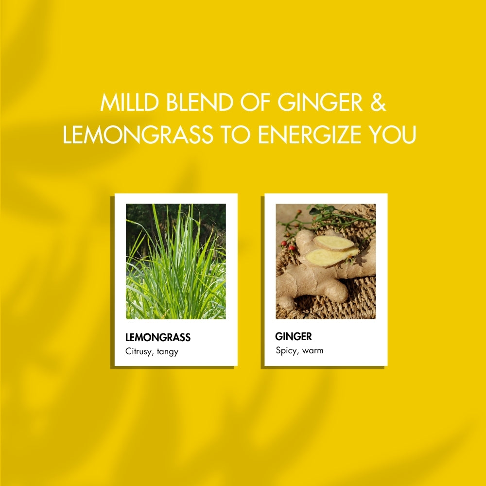 Sangolda Summer Duo – Lemongrass & Ginger Deodorant Bundle ☀️🌿